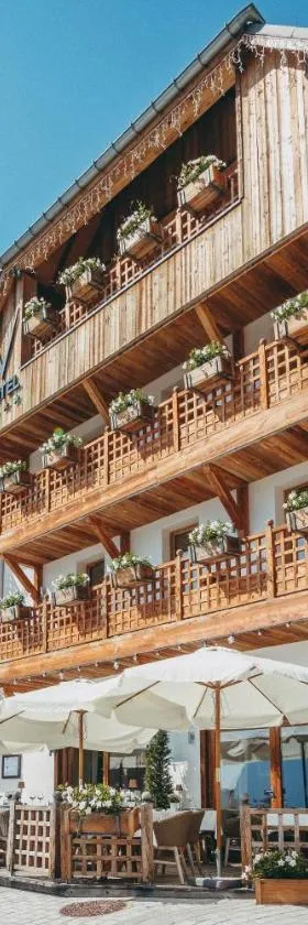 Hotel Le V de Vaujany，位于沃雅尼的酒店