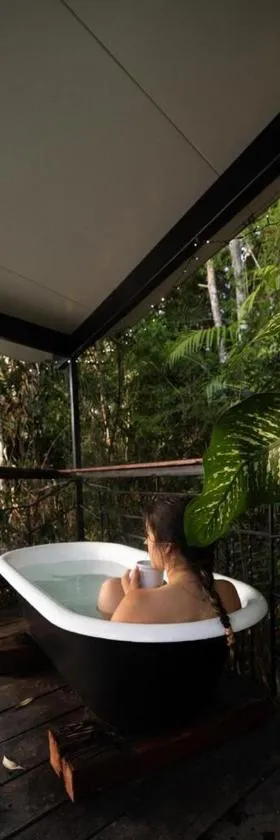 Sun Suite - tiny home treehouse，位于库兰达的酒店