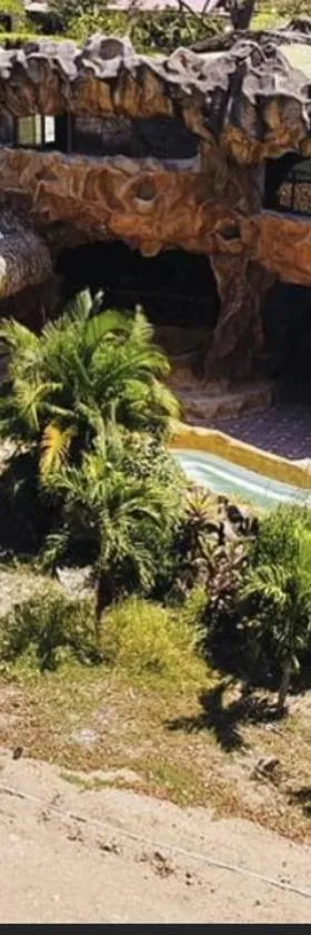 La Perla Negra Eco Pirate Resort，位于蓬塔雷纳斯的酒店