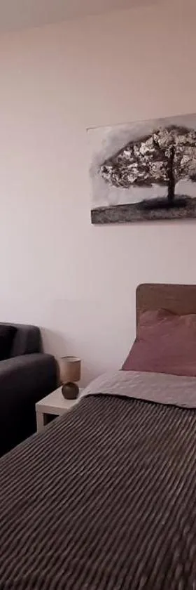 Apartman Dostojevski，位于Čukarica的酒店