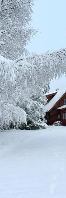 Totara Lodge - Unwind, Relax & Enjoy - Mt Lyford，位于Mt Lyford的酒店