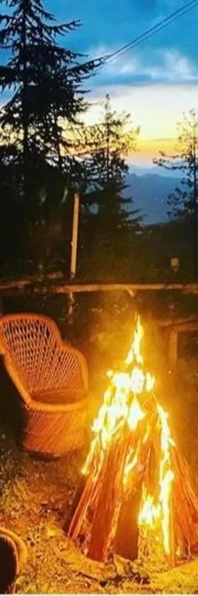 Sneha Cottage, Tirthan Valley - #riverside #premium room #cafe #comfortable stay #garden with fireplace #property of the year，位于吉布的酒店