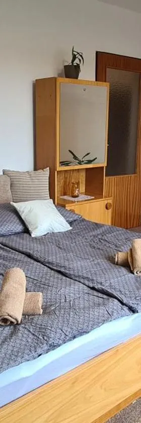 Apartmány Zelená Hora s velkou zahradou，位于达那撒扎乌的酒店