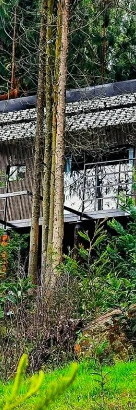 Cabaña en Tabio，位于塔比奥的酒店