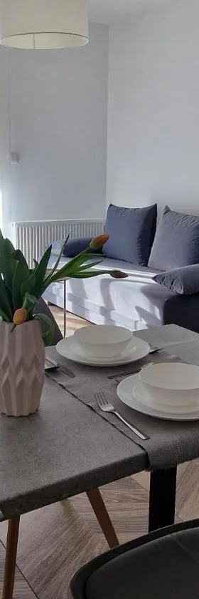 Apartament Jagiełły Park Olsztynek，位于奥尔什蒂内克的酒店