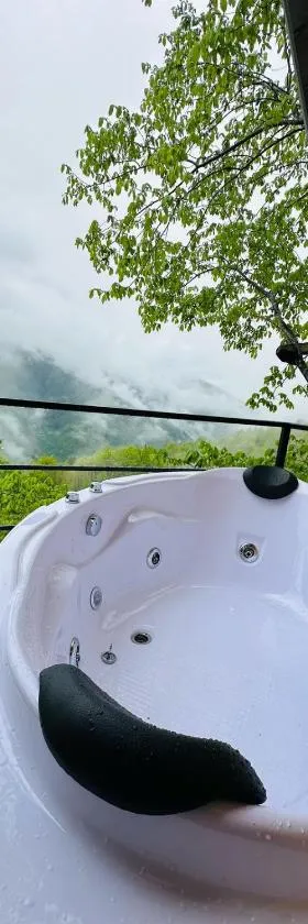 cottage panorama merisi，位于Inasharidzeebi的酒店