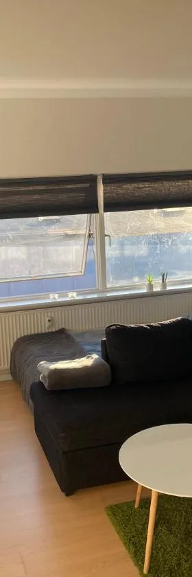 Small but cozy 1 bedroom Apartment with Living room，位于维兹奥勒的酒店