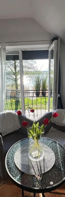 Apartament nad jeziorem w Charzykowach，位于哈日科维的酒店