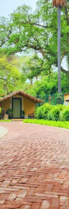 Pandu Pokhar Eco Adventure Resort，位于王舍城的酒店