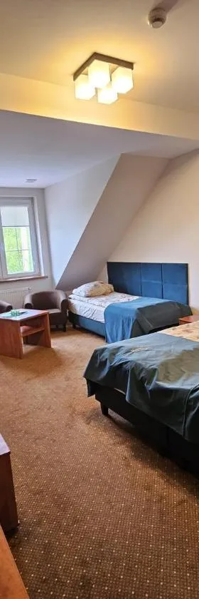 Pensjonat Leśny Dworek SPA & Garden Uzdrowisko wśród Natury，位于Cisów的酒店