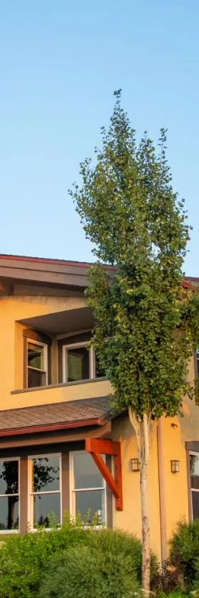 Hotel McCall，位于麦考尔的酒店