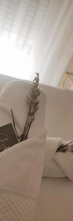 Rusiñol，位于孔苏埃格拉的酒店