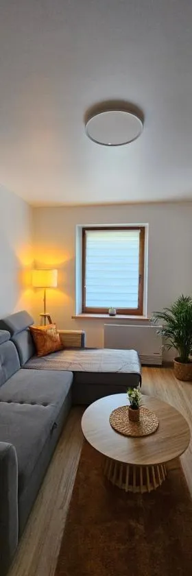 Apartament Radiostacja IX, parking free，位于格利维采的酒店