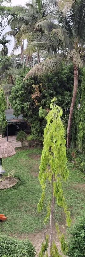 Green Park Tea Resort Sreemangal，位于斯里曼加尔乌帕齐拉的酒店