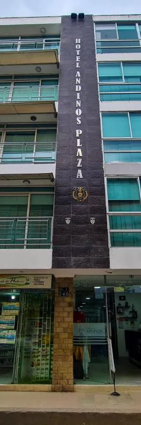 Hotel Andinos Plaza Pitalito，位于皮塔利托的酒店