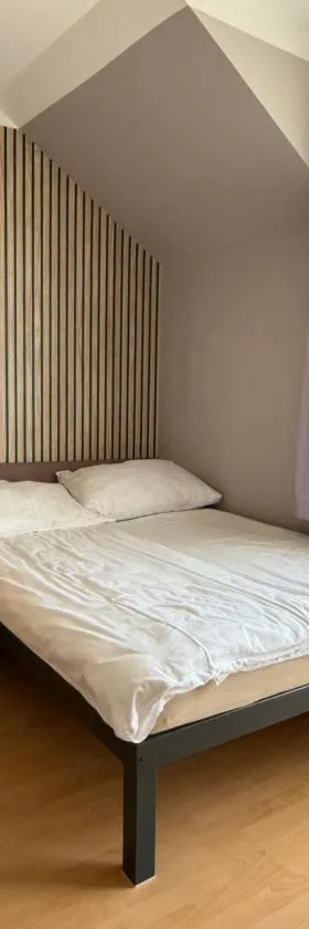 Pensjonat Wiktoria，位于米泽德沃兹的酒店