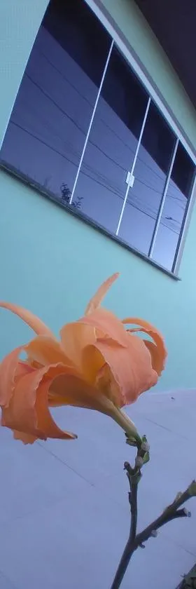 Pousada Lar do Sossego，位于夸特鲁巴拉斯的酒店