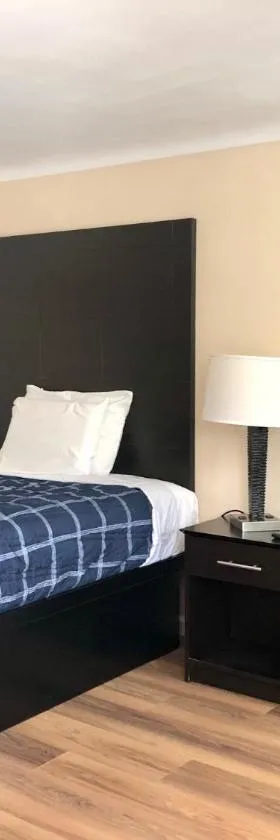 Gratiot View Motel，位于萨吉诺的酒店