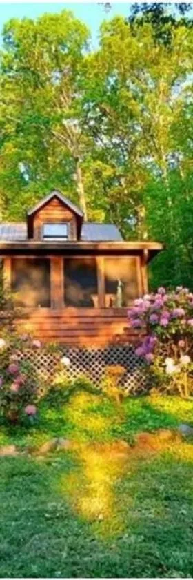 The Mountain Forager Cabin, Bryson City NC，位于布赖森城的酒店