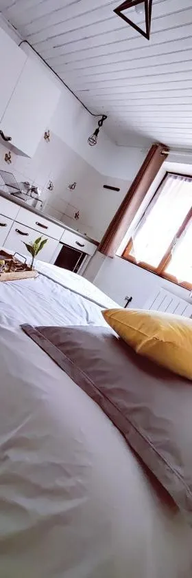 Studio confort montagne，位于奥吕莱班的酒店