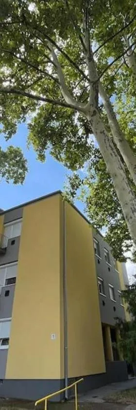 Lombkorona apartman，位于帕波的酒店