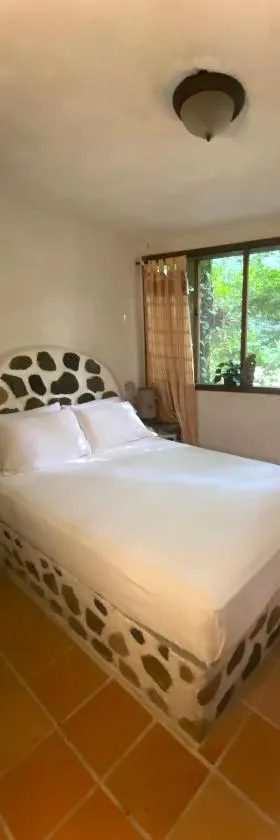 Jungle River Lodge，位于拉塞瓦的酒店