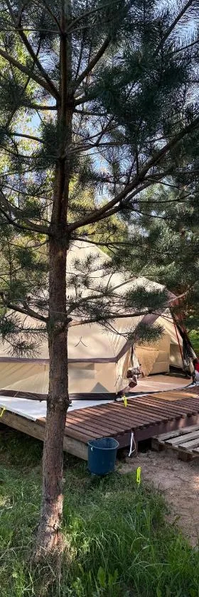 Glamping under the pines，位于维尔纽斯的酒店