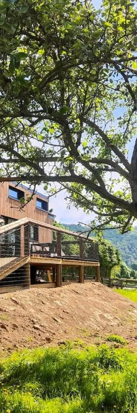 Tiny House Le Petit Nid du Pré，位于Saint-Rémy的酒店