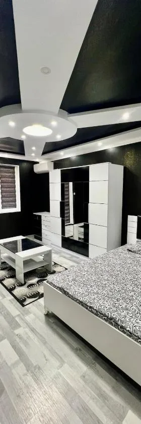 Modern Nostalgia Apartment，位于特尔戈维什特的酒店