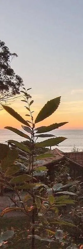 Jardín del Mar，位于Mougás的酒店