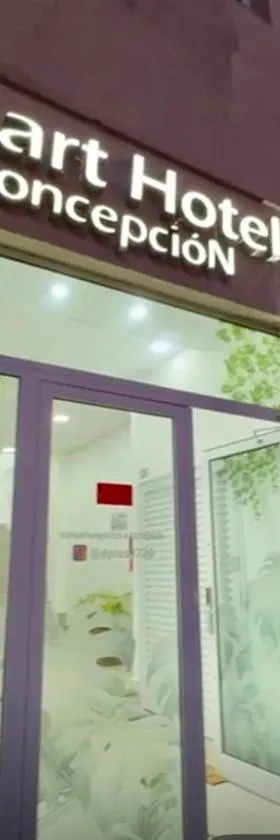 Apart Hotel Concepcion，位于Concepción的酒店