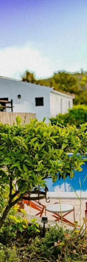 Finca Amorosa，位于康塞普西翁新镇的酒店