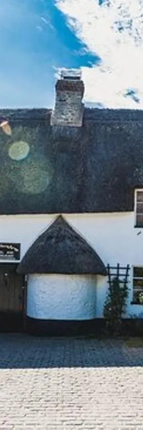 The Tuckers Arms，位于Dalwood的酒店
