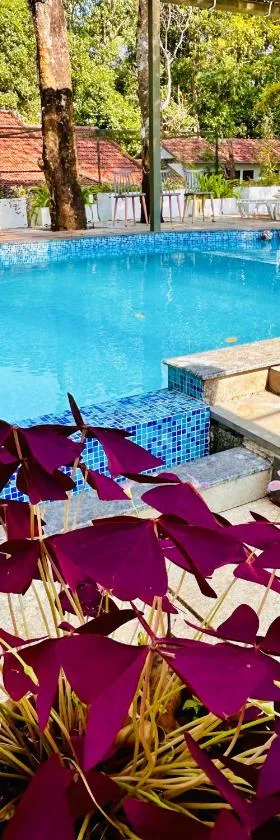 Drey at Druv Dakshin Farm Resort，位于Padinjarathara的酒店