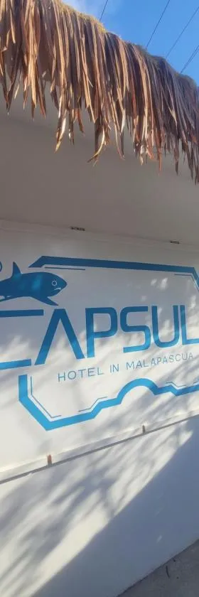 Capsule Hotel in Malapascua，位于Daanbantayan的酒店