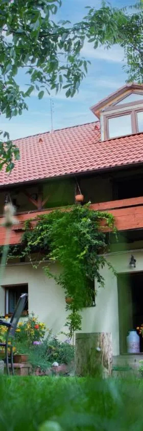 Ráj za humny，位于Černé Voděrady的酒店