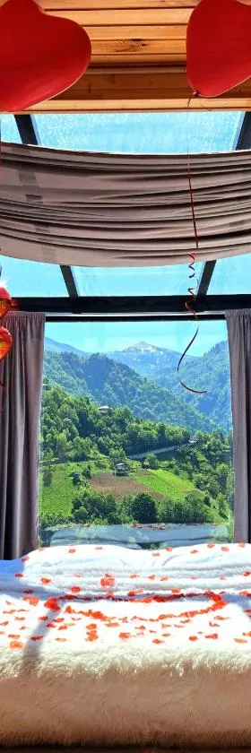 Glass House In Merisi，位于巴统的酒店