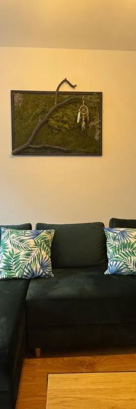 Apartament Zimowa 16，位于斯雷布纳古拉的酒店