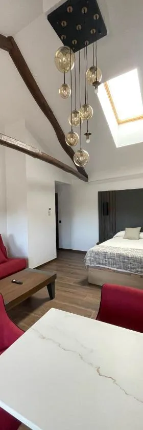 SEVIHOUSE Casa Vicente，位于奥斯皮塔尔德奥尔维戈的酒店