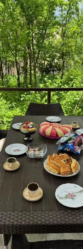 Дом на улице Овсепяна 7，位于迪利然的酒店