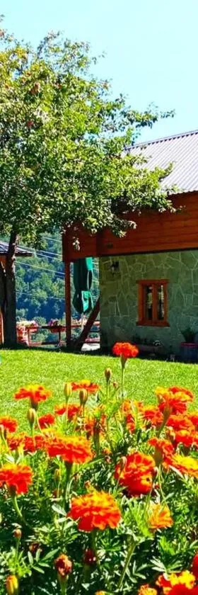 Kraljska koliba - Kralje's Cottage，位于Andrijevica的酒店