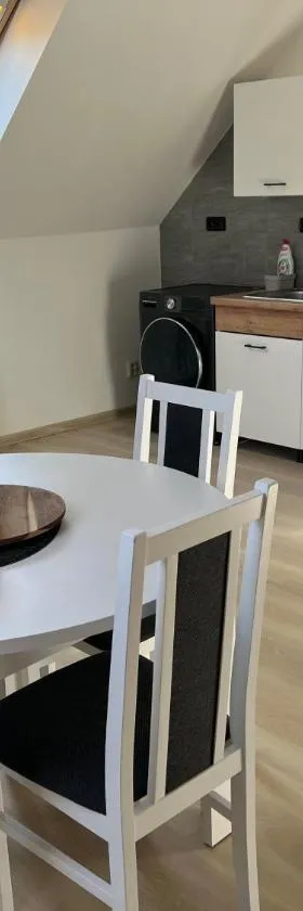 Podkrovní apartmán se společným bazénem，位于Zlonice的酒店