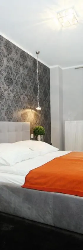 Livin Apartments Santocka，位于什切青的酒店