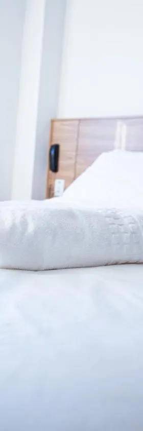 Hotel Bandeirantes Jardins，位于欧鲁普雷图的酒店