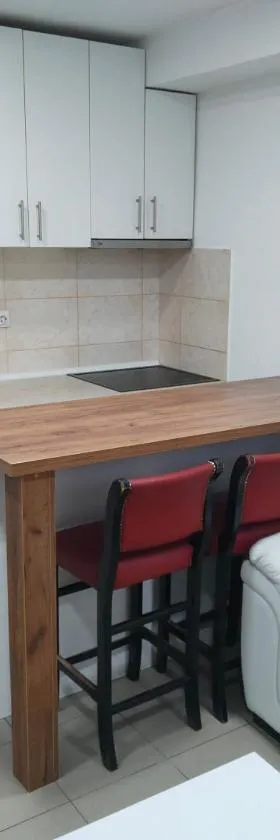 Apartmani Pajic，位于雅戈丁那的酒店