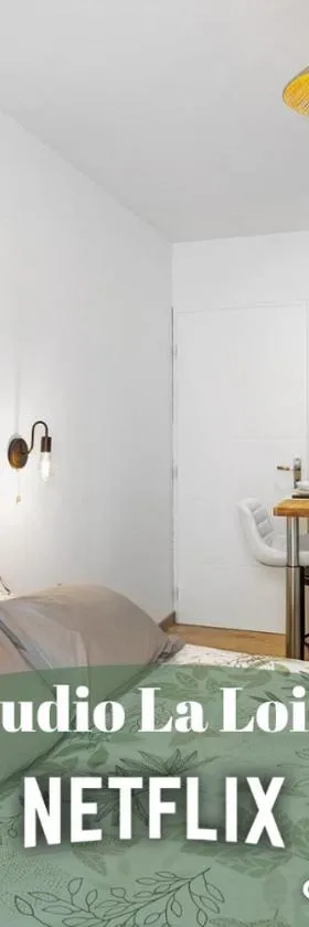Centre-ville - Fibre - Netflix - Studio la Loire，位于萨韦奈的酒店