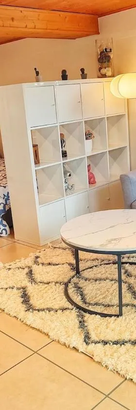 Studio Cosy au Cœur des Alpes，位于Arenthon的酒店
