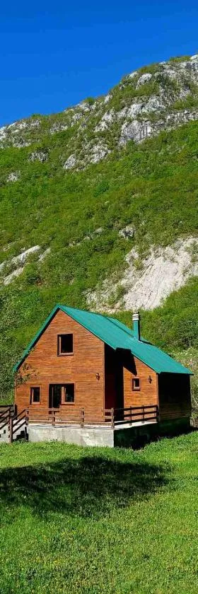 Vila Kraljica Planina，位于Šavnik的酒店