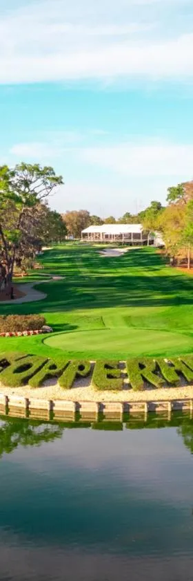 Innisbrook Resort，位于帕姆港的酒店