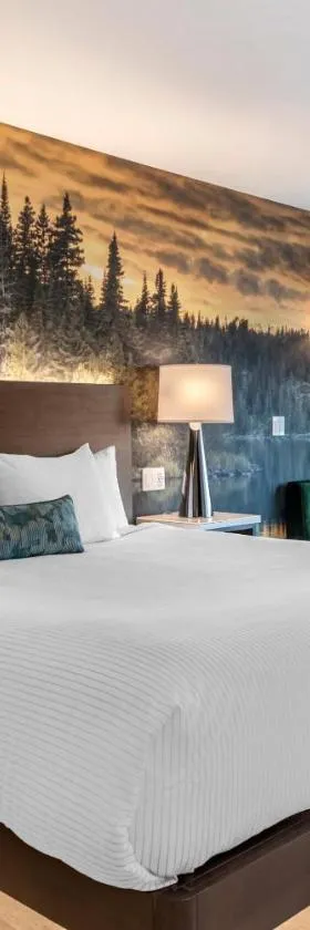 Cambria Hotel Shelby Township - Detroit Utica，位于Shelby的酒店